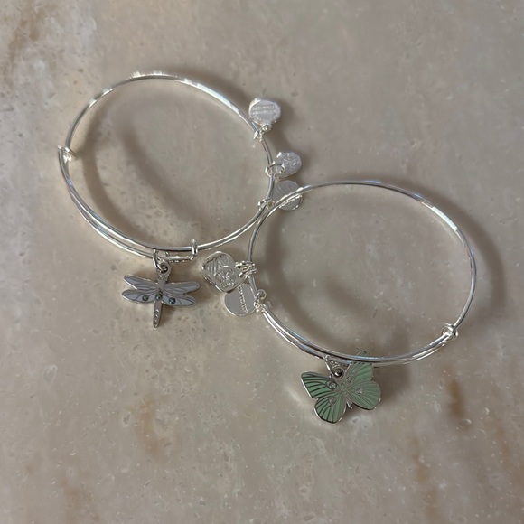 Alex and Ani Silver Bracelet Set with Dragonfly and Butterfly Charms - Picture 1 of 3